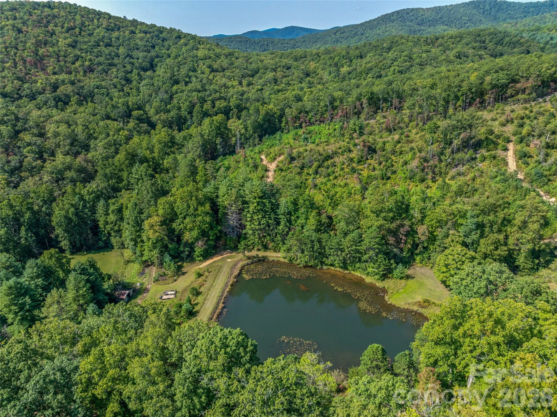 567 Davey Branch Road - Photo 9