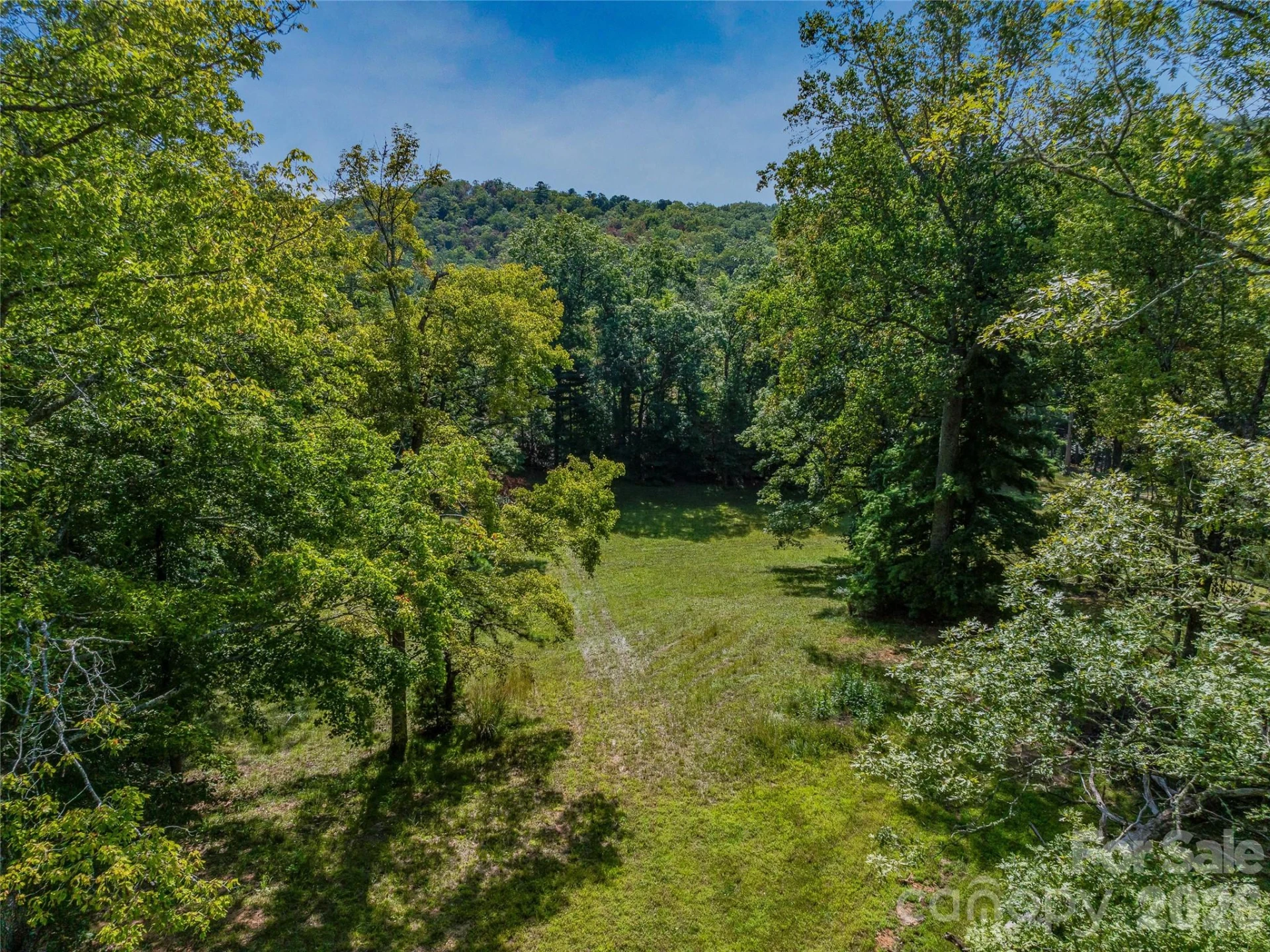 567 Davey Branch Road - Photo 16