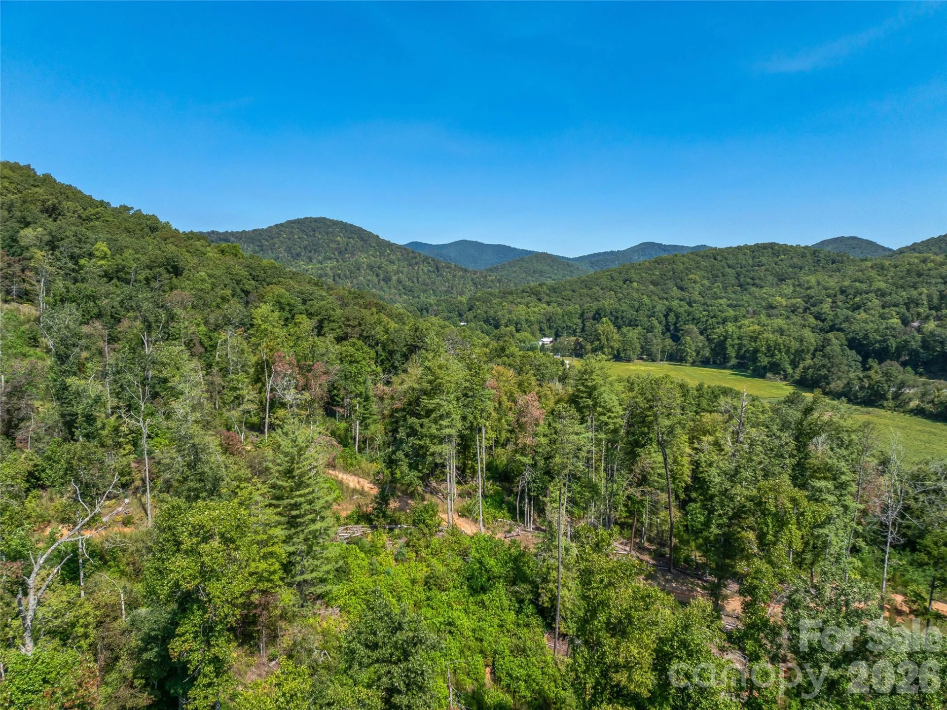 567 Davey Branch Road - Photo 24