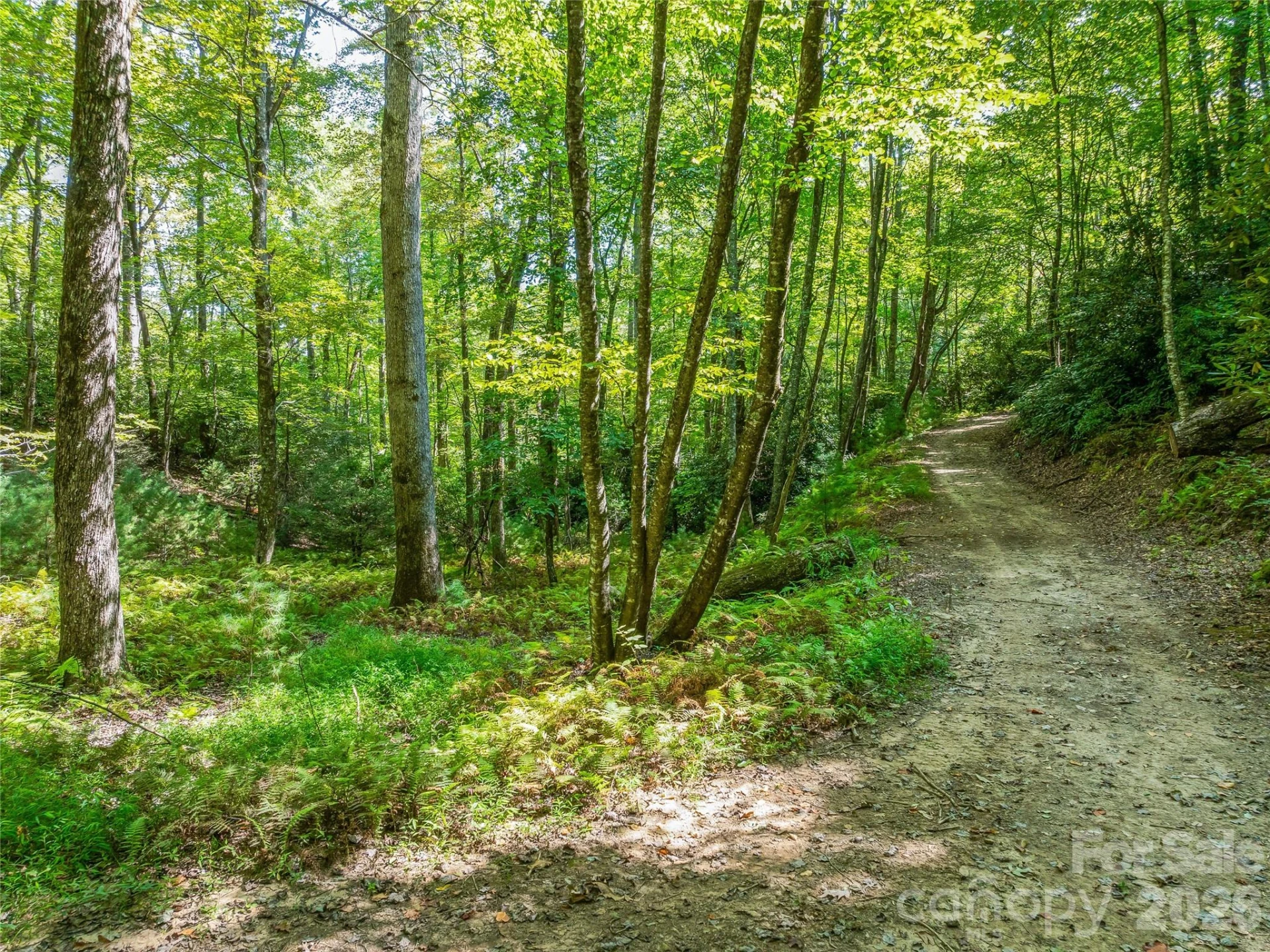 567 Davey Branch Road - Photo 29