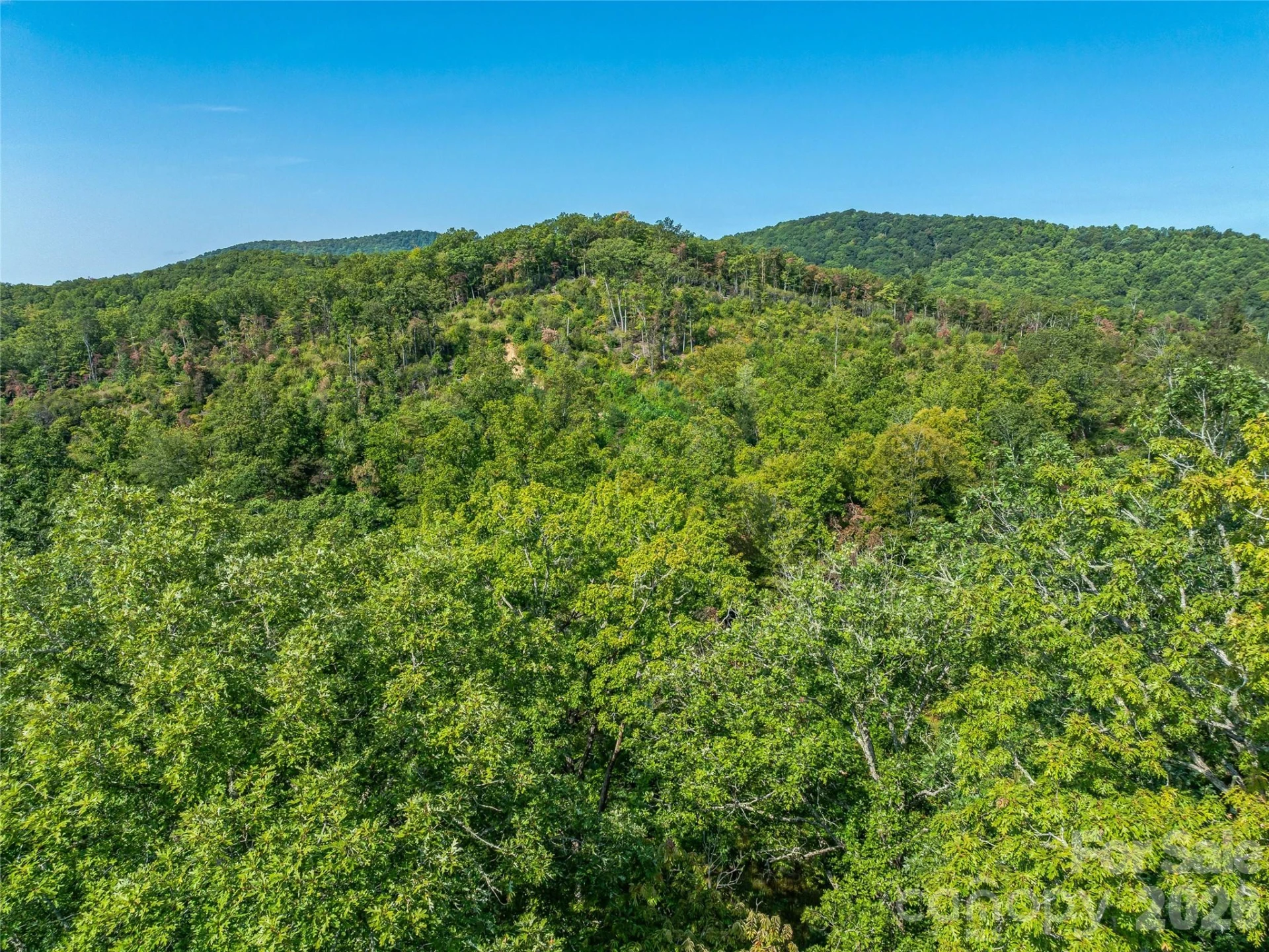 567 Davey Branch Road - Photo 34
