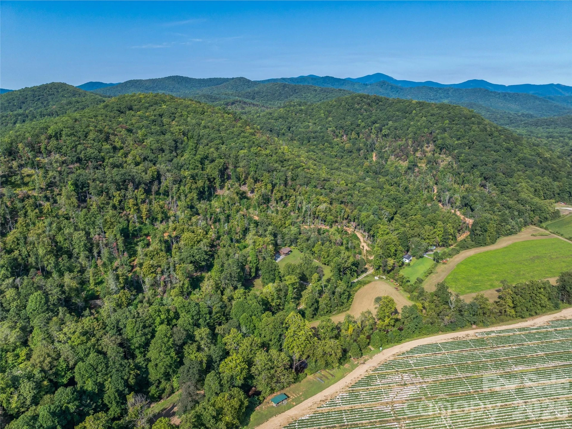 567 Davey Branch Road - Photo 35