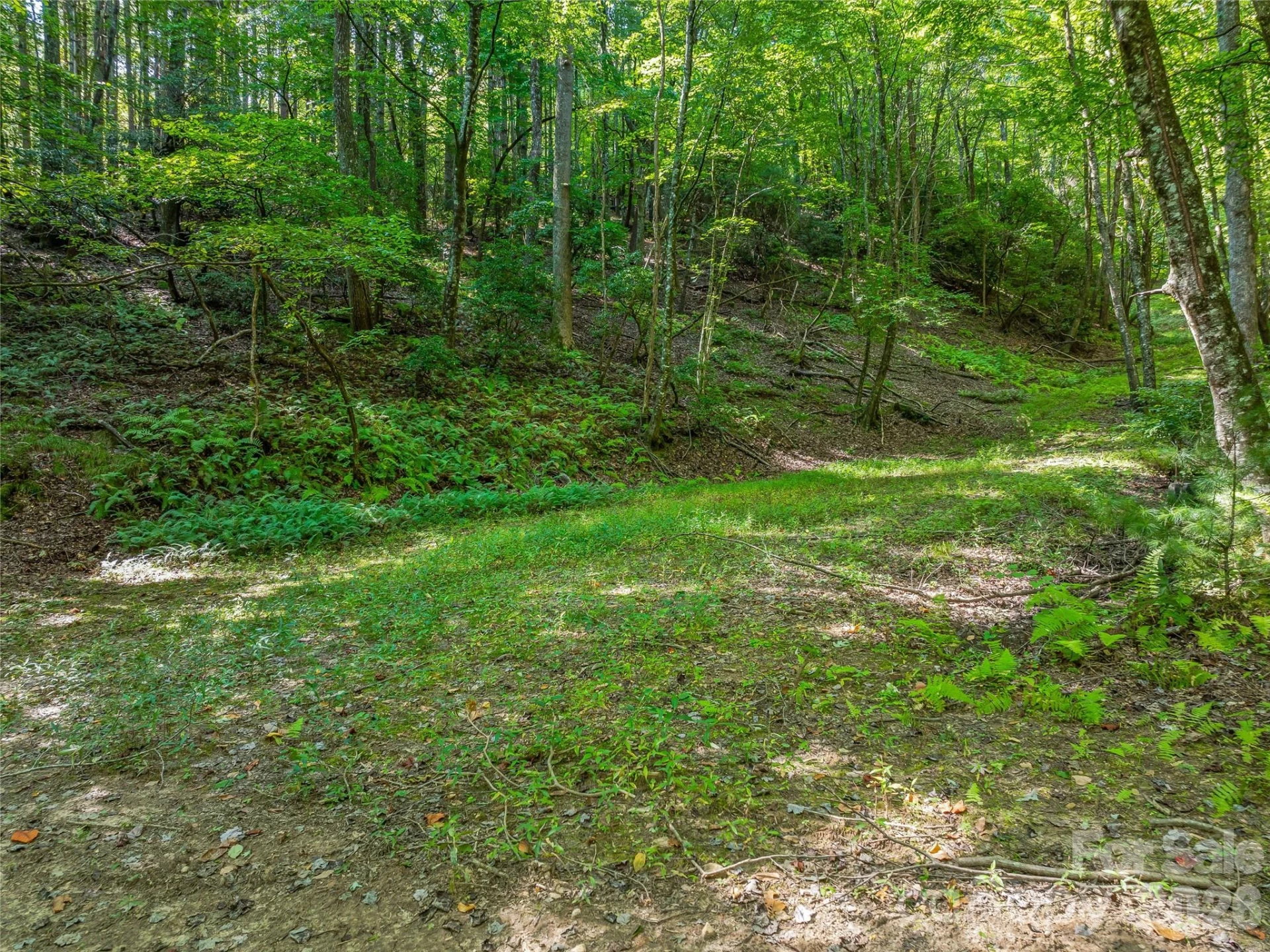 567 Davey Branch Road - Photo 36