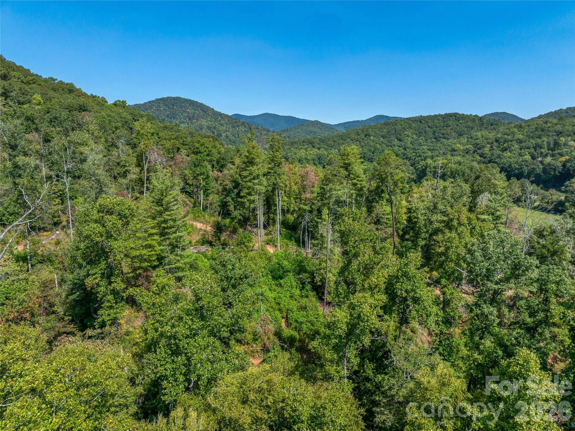 567 Davey Branch Road - Photo 38