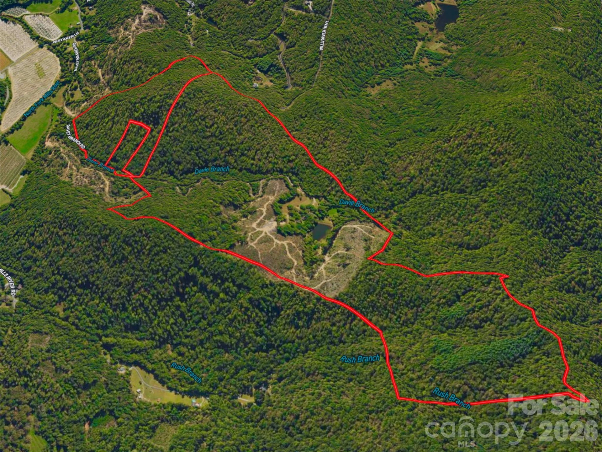 567 Davey Branch Road - Photo 39
