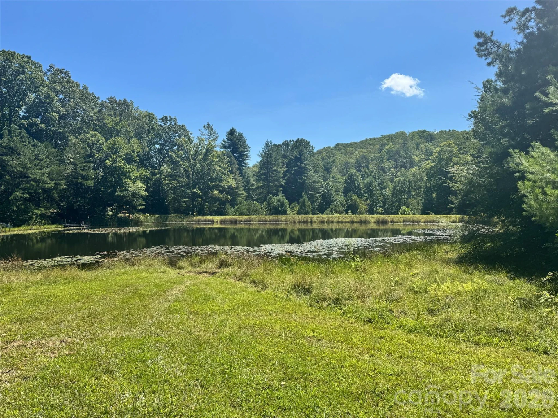 567 Davey Branch Road - Photo 42