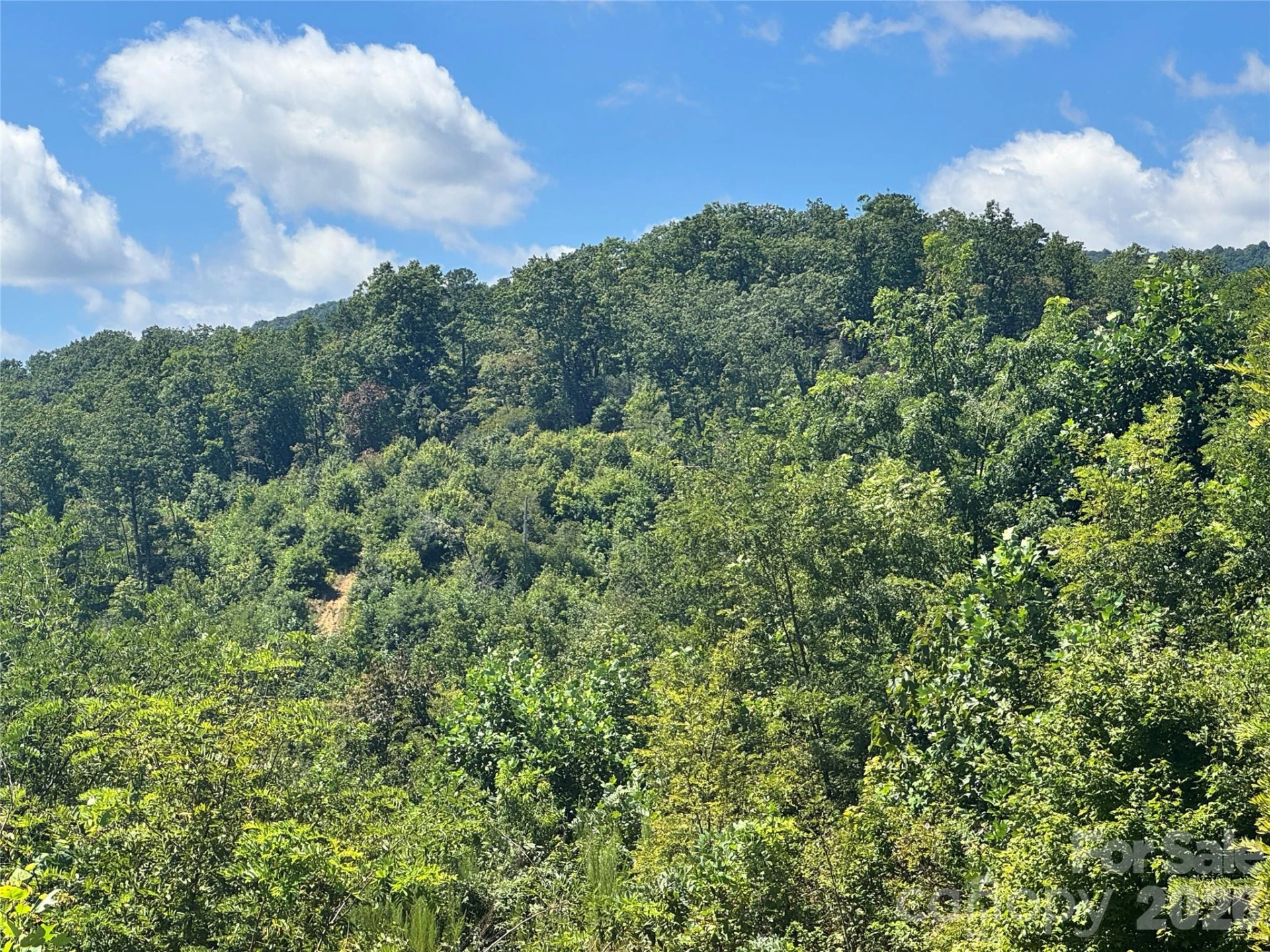 567 Davey Branch Road - Photo 43