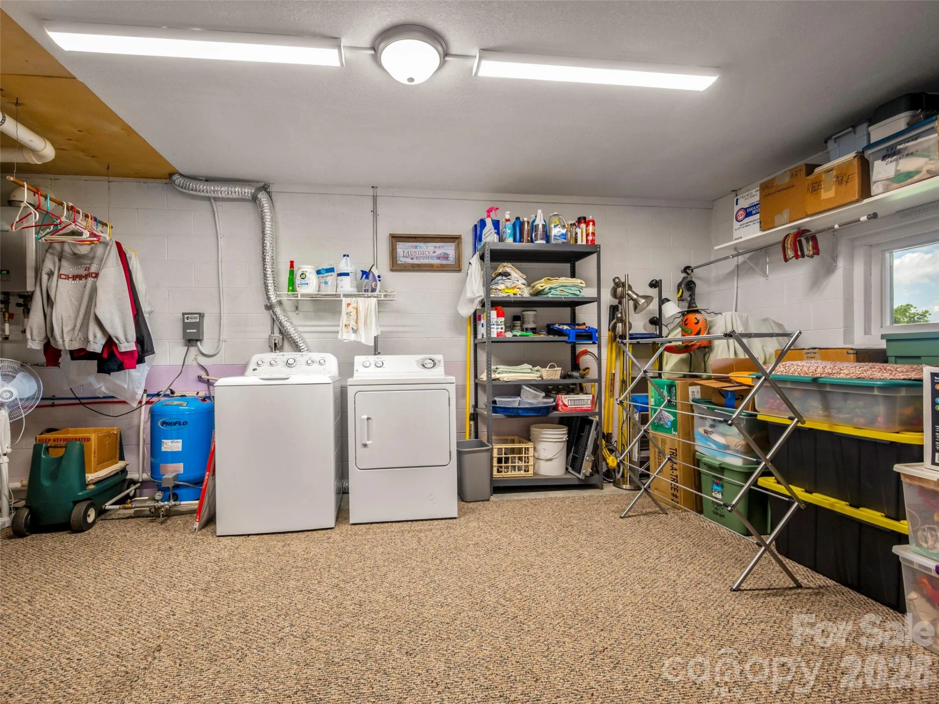 837 Big Raven Lane - Photo 35