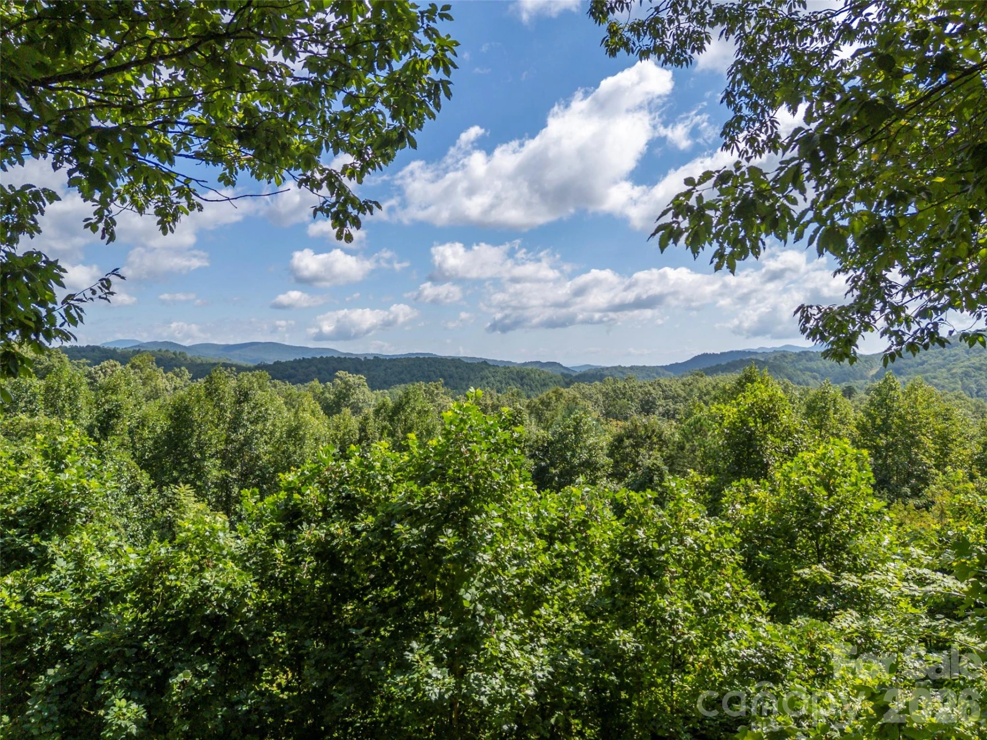 837 Big Raven Lane - Photo 48
