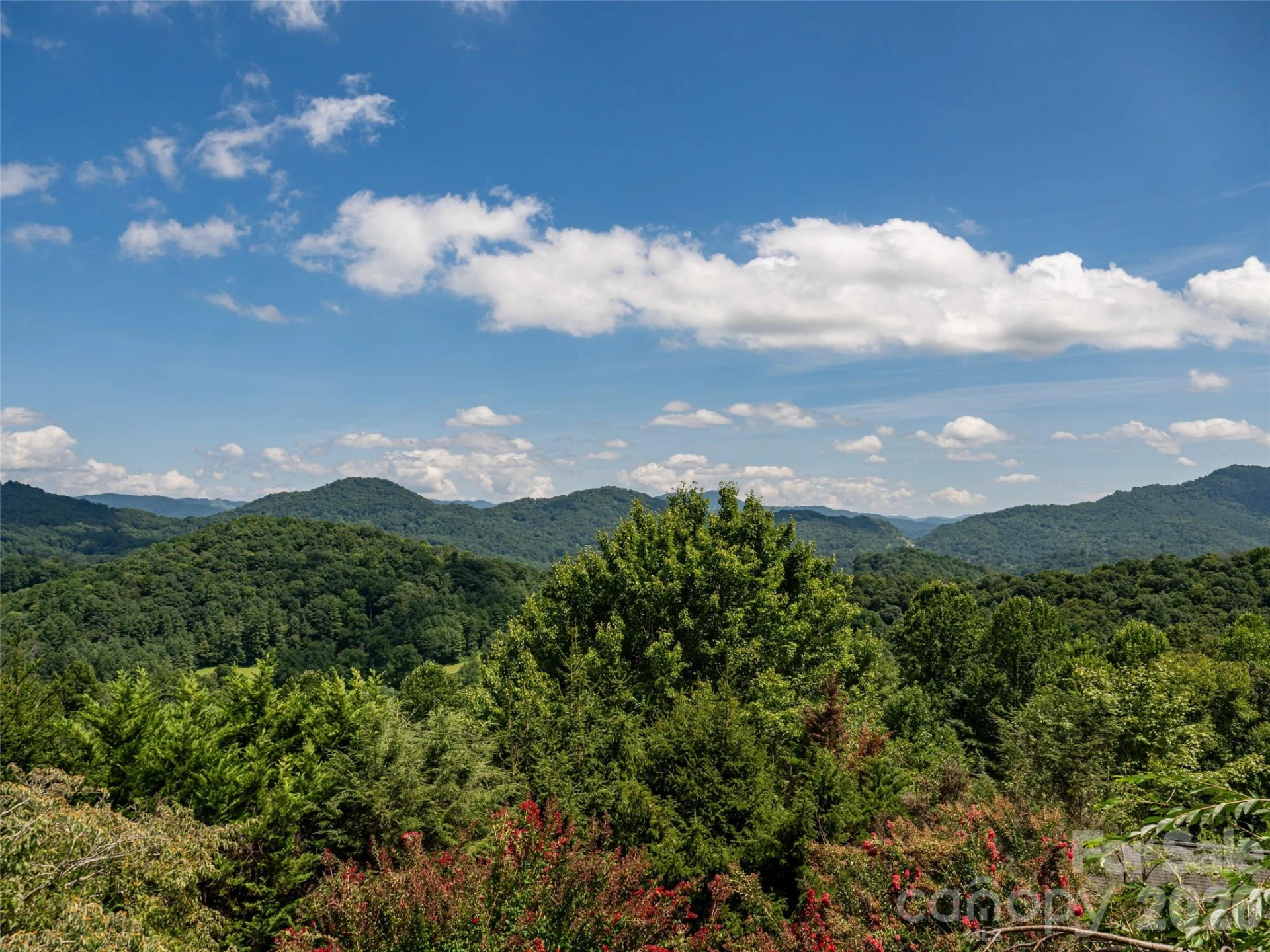 95 Splendor Ridge - Photo 2