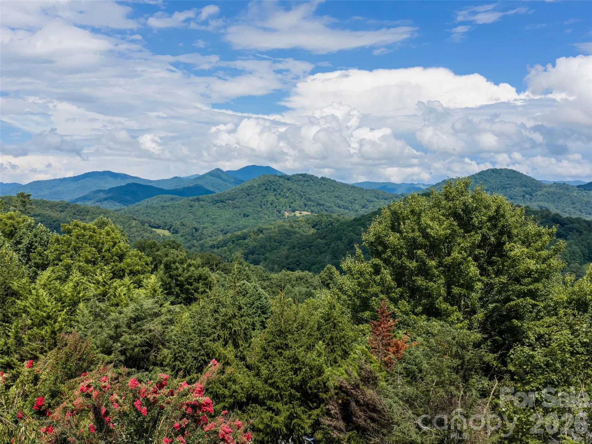 95 Splendor Ridge - Photo 44