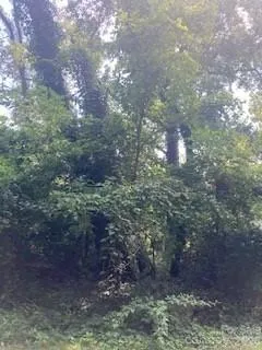 99999 Old Haw Creek Road, Asheville, NC, 28805