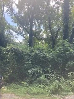 99999 Old Haw Creek Road #Lot 2 - Photo 2