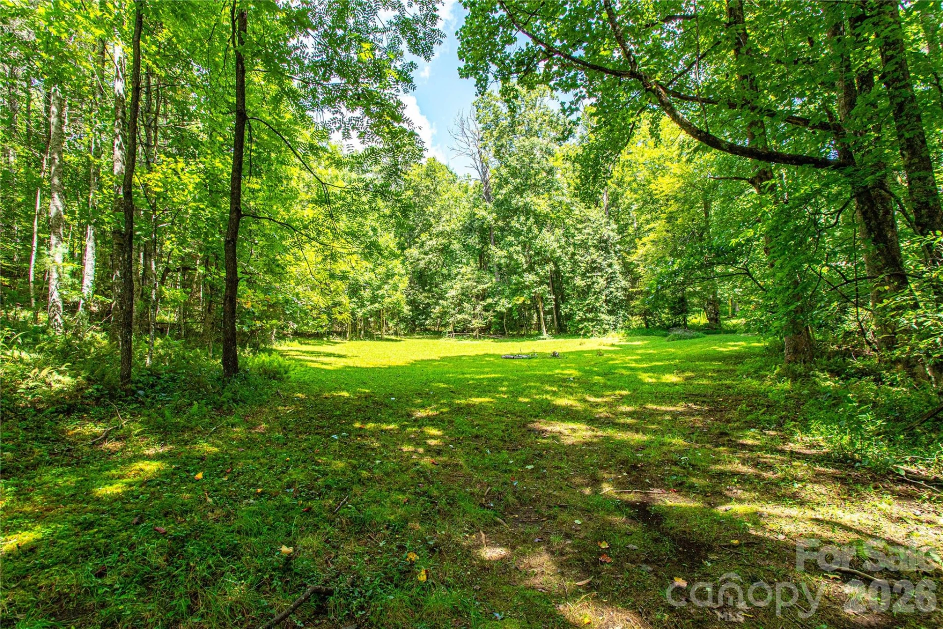 570 Flat Creek Valley Road - Photo 42