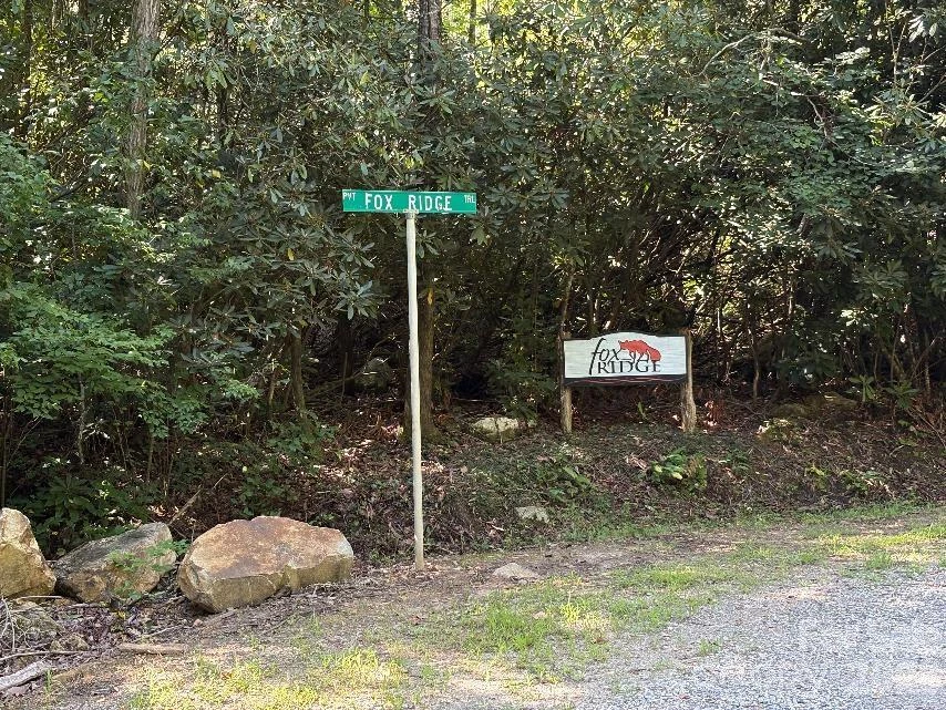 Lot 96 Little Fox Run - Photo 5