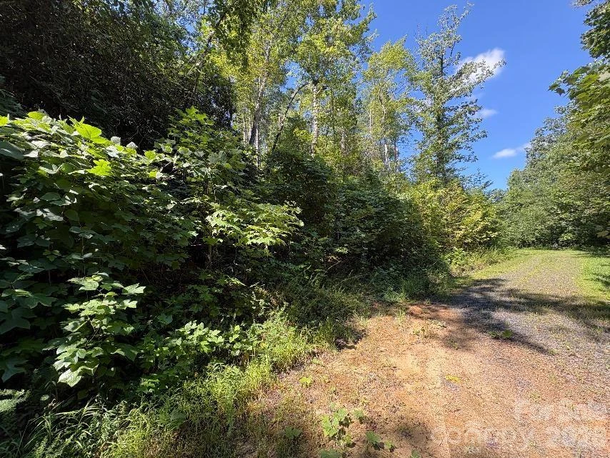 Lot 96 Little Fox Run - Photo 7