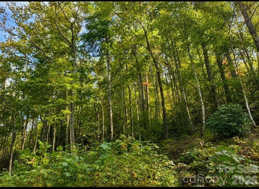 Lot 96 Little Fox Run - Photo 8