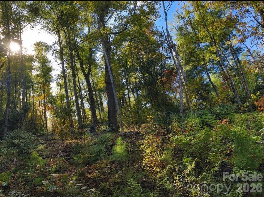 Lot 96 Little Fox Run - Photo 10