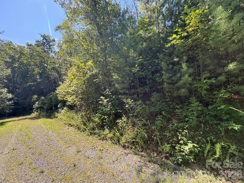 Lot 96 Little Fox Run - Photo 11