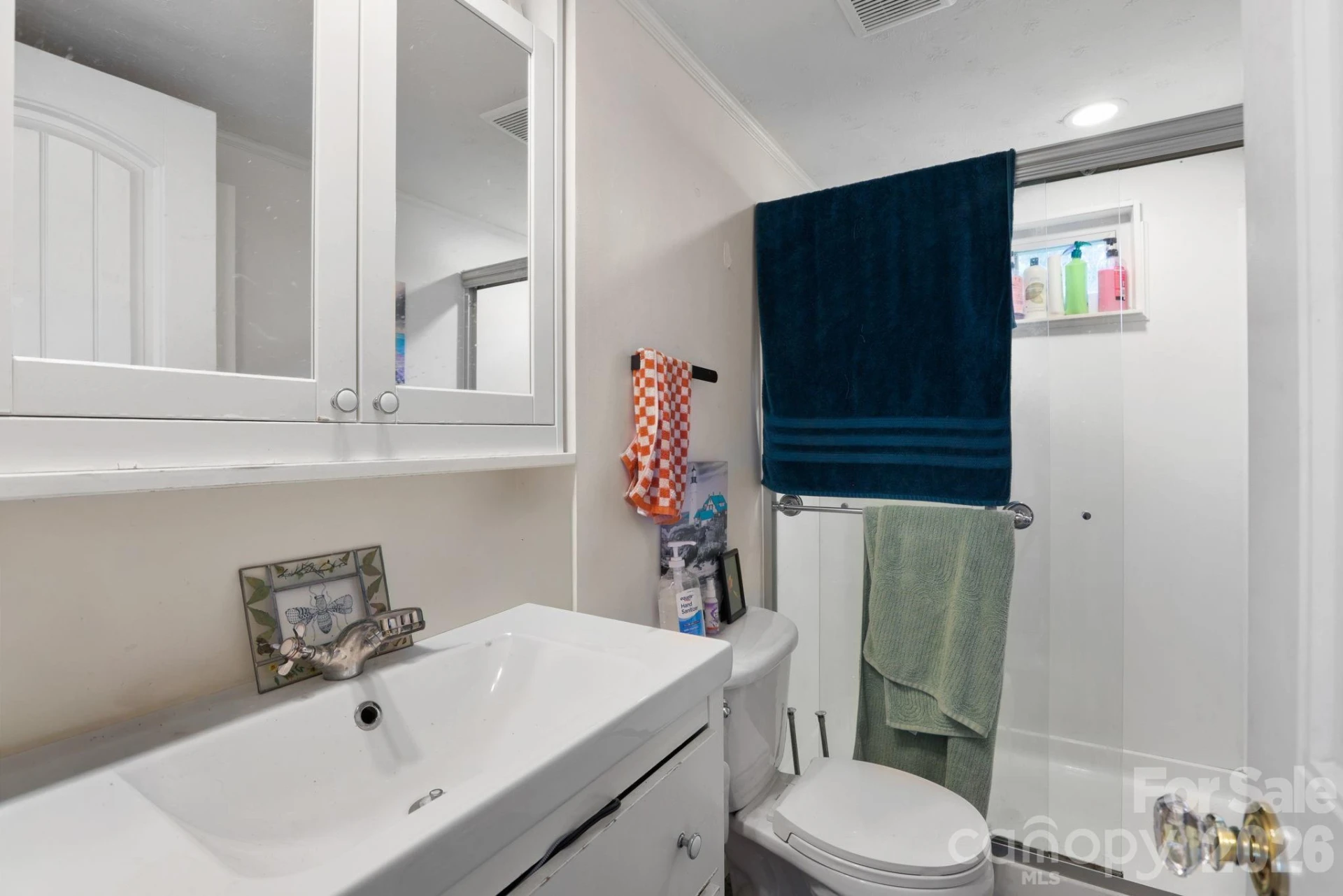 169 and 171 Cragmont Road - Photo 29