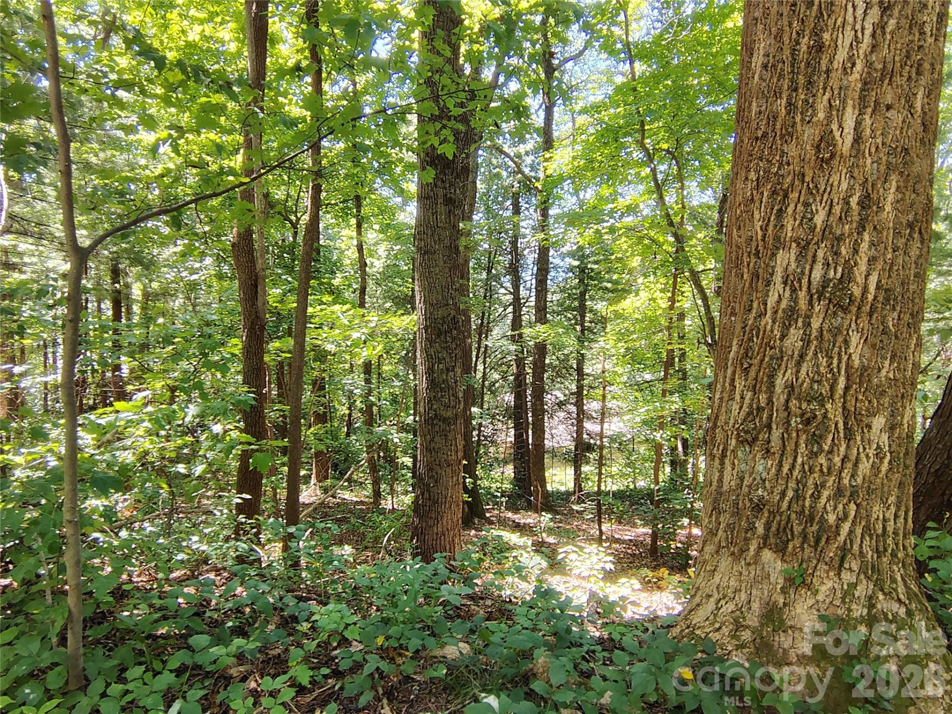 99999 Balsam Court #12B - Photo 6