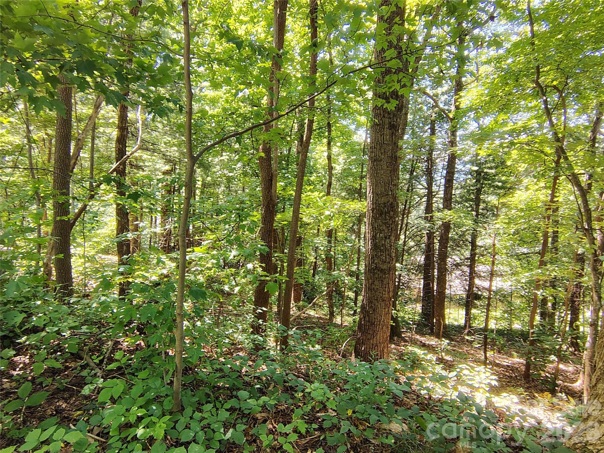 99999 Balsam Court #12B - Photo 7