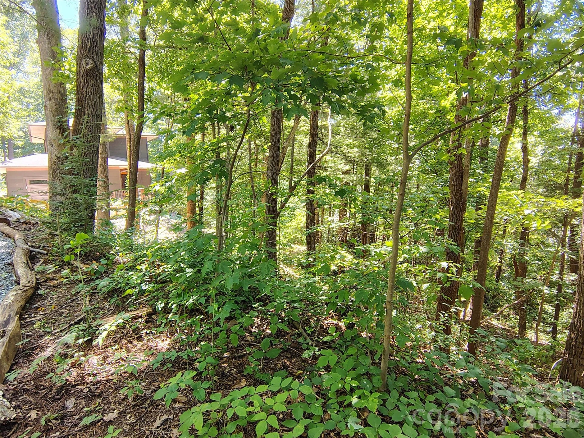 99999 Balsam Court #12B - Photo 8