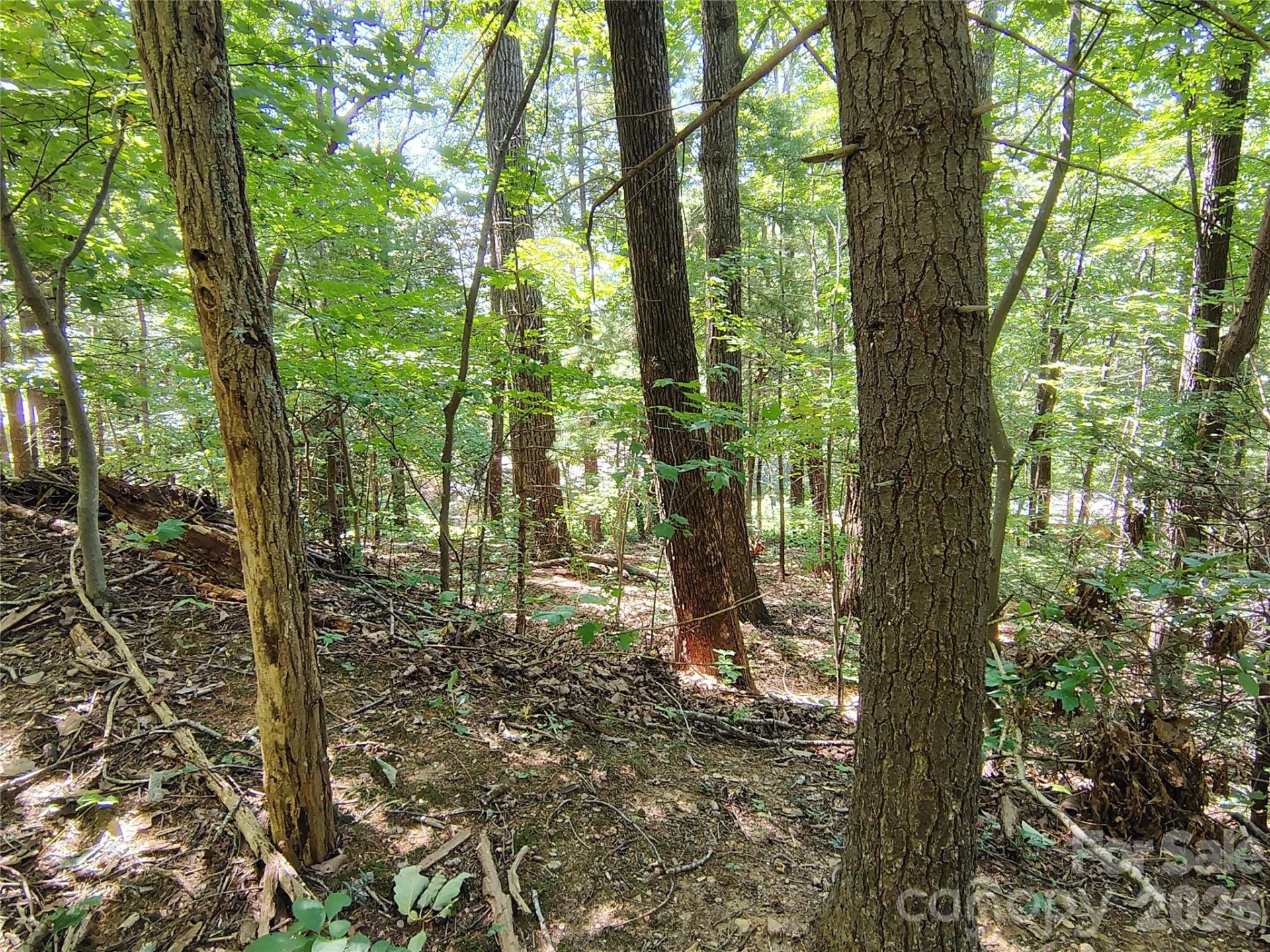 99999 Balsam Court #12B - Photo 9