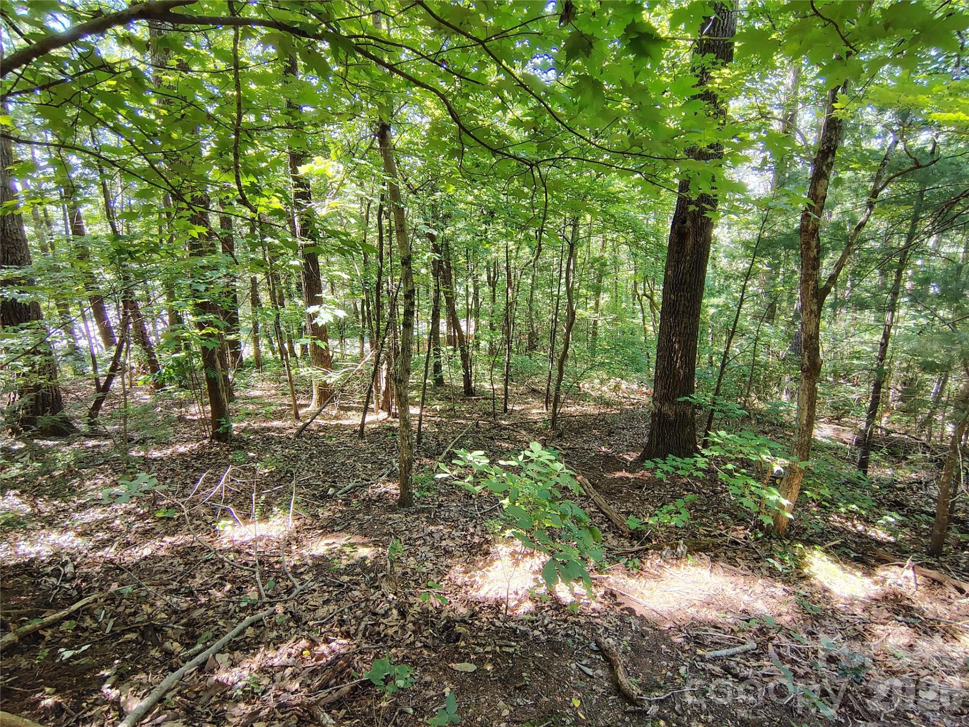 99999 Balsam Court #12B - Photo 11