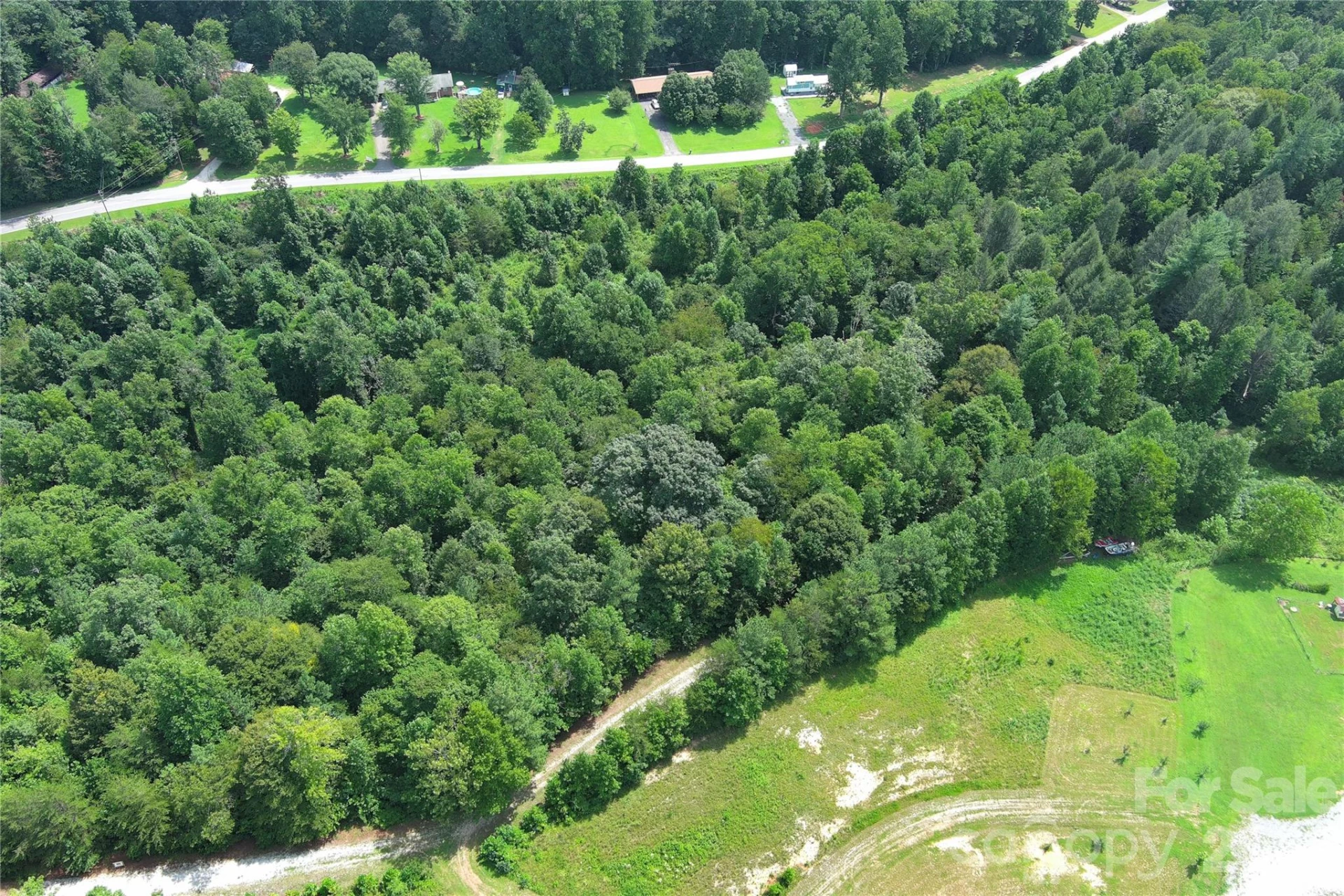 V/L Riverview Forest Drive - Photo 2
