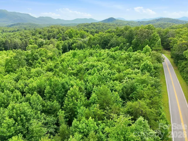 2873 Parker Padgett Road, Old Fort, NC, 28762