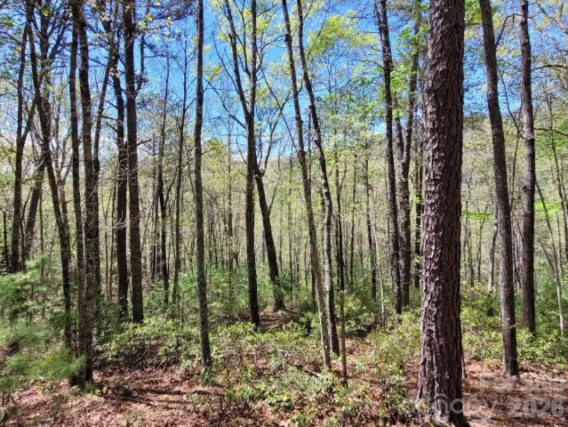 Lot 21 Little Fox Run, Marion, NC, 28752
