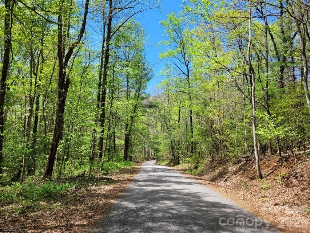 Lot 21 Little Fox Run - Photo 3