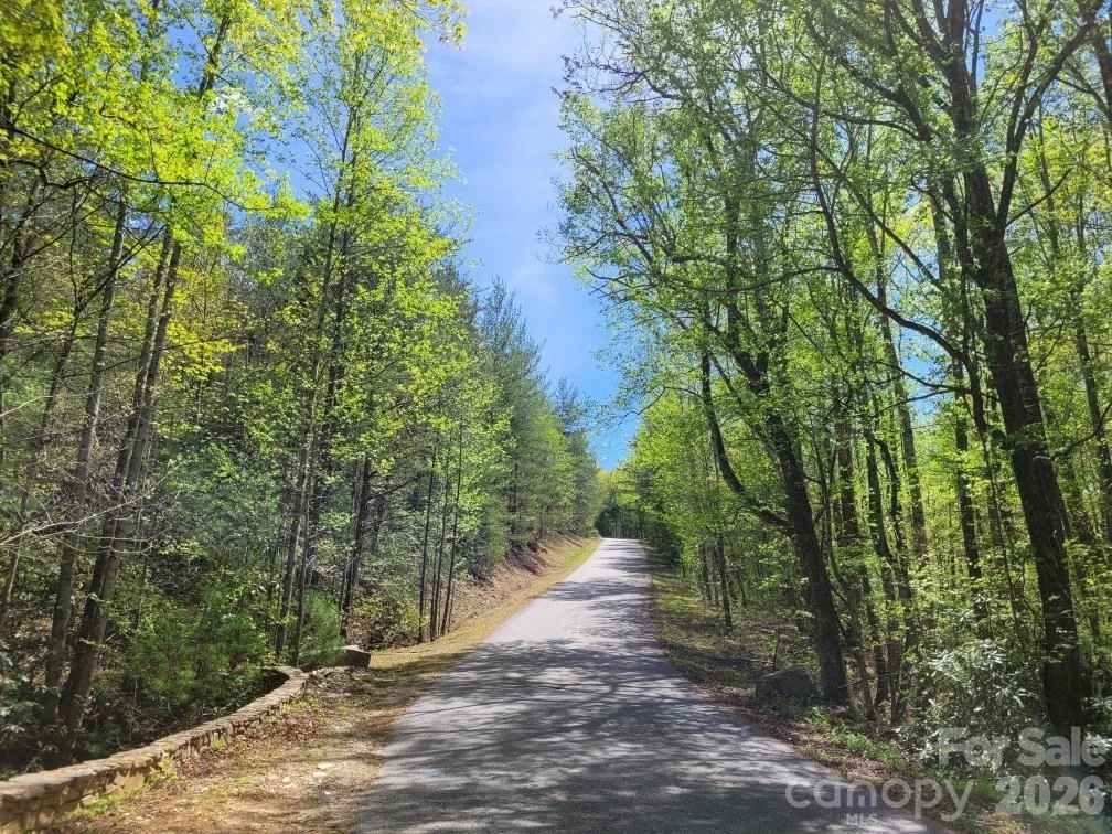 Lot 21 Little Fox Run - Photo 5