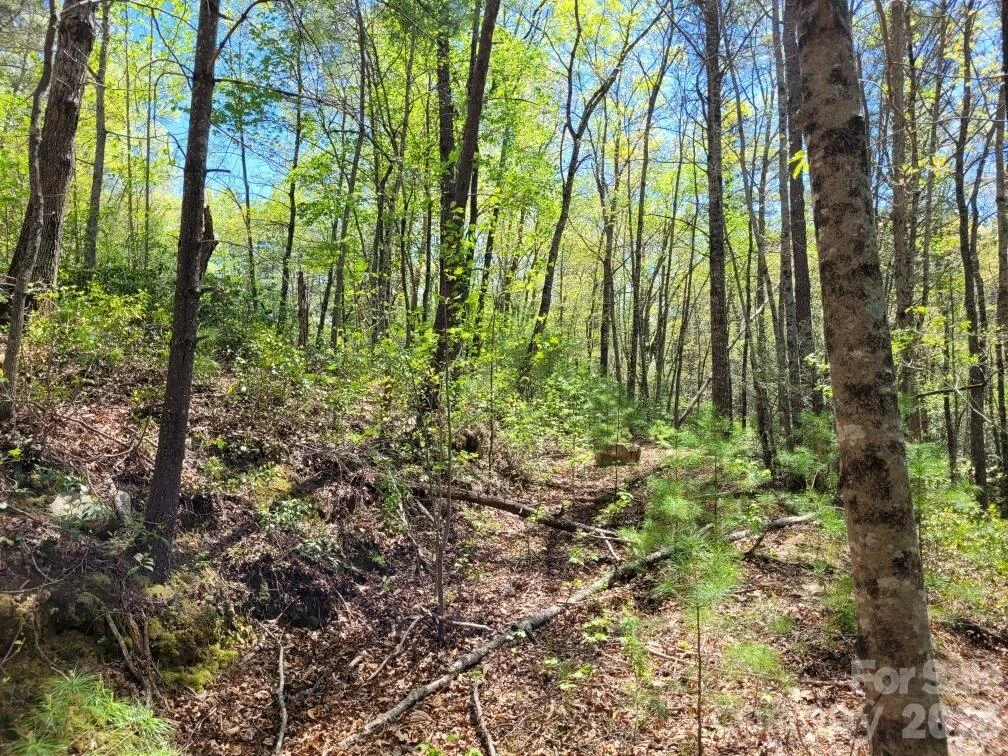 Lot 21 Little Fox Run - Photo 6