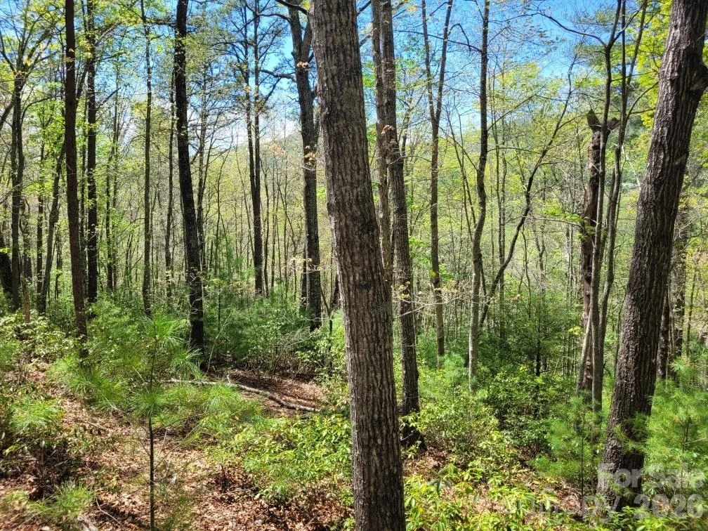 Lot 21 Little Fox Run - Photo 7