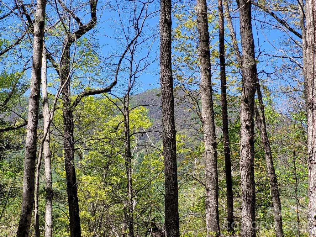 Lot 21 Little Fox Run - Photo 8