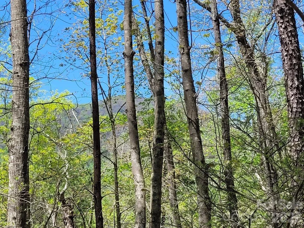 Lot 21 Little Fox Run - Photo 9