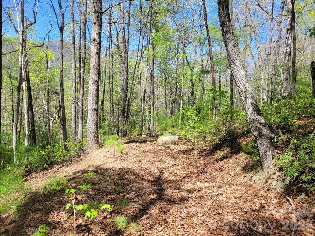 Lot 21 Little Fox Run - Photo 10
