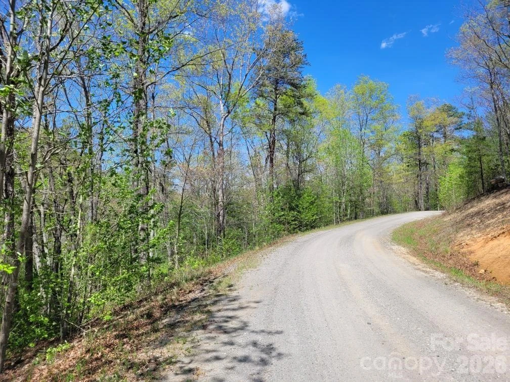 Lot 21 Little Fox Run - Photo 11