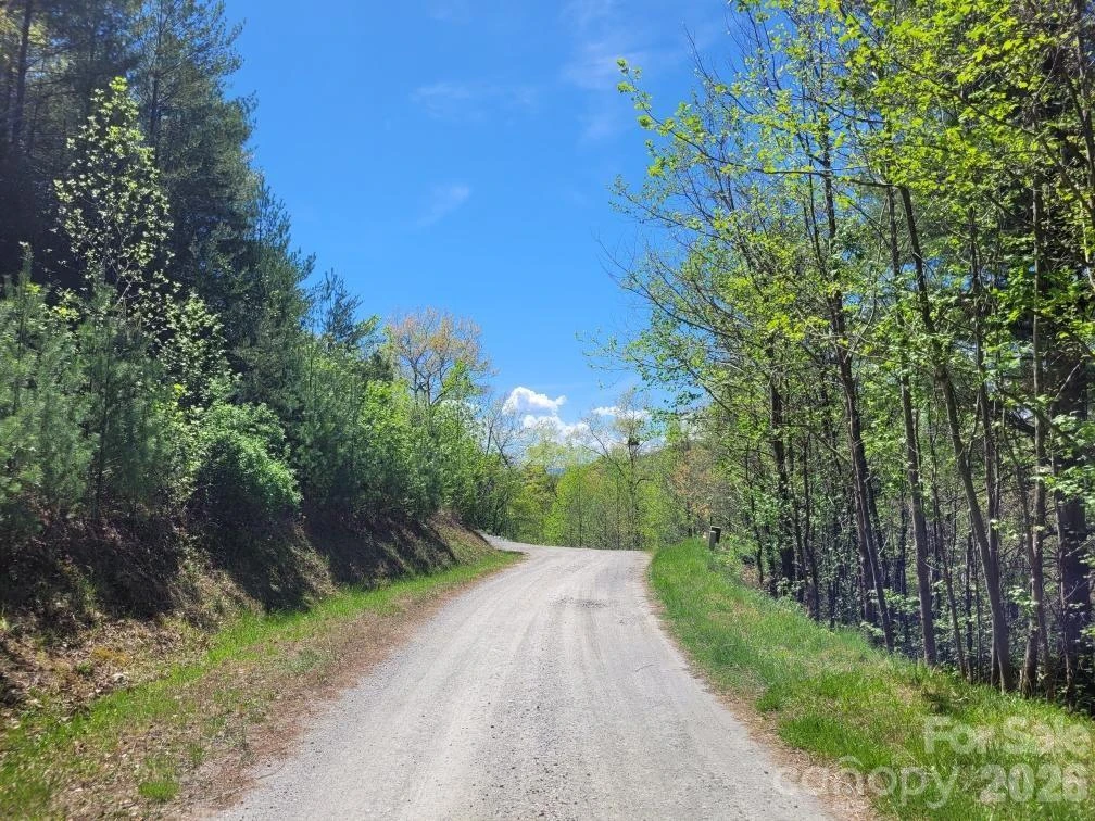 Lot 21 Little Fox Run - Photo 12