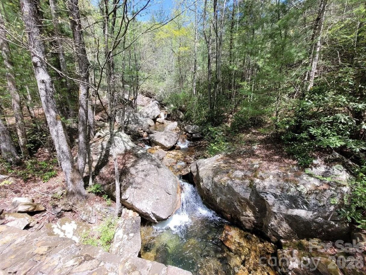 Lot 21 Little Fox Run - Photo 14