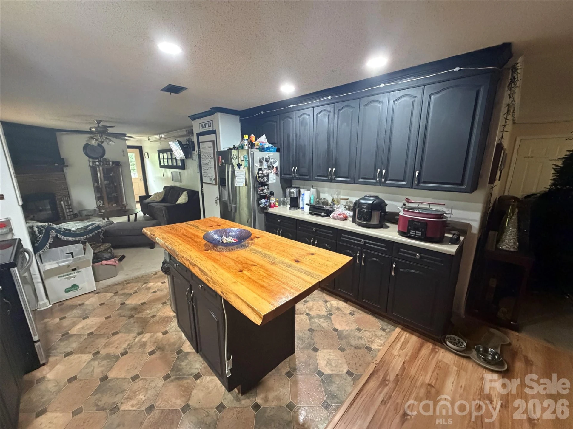 263 Coyote Pass Lane - Photo 13