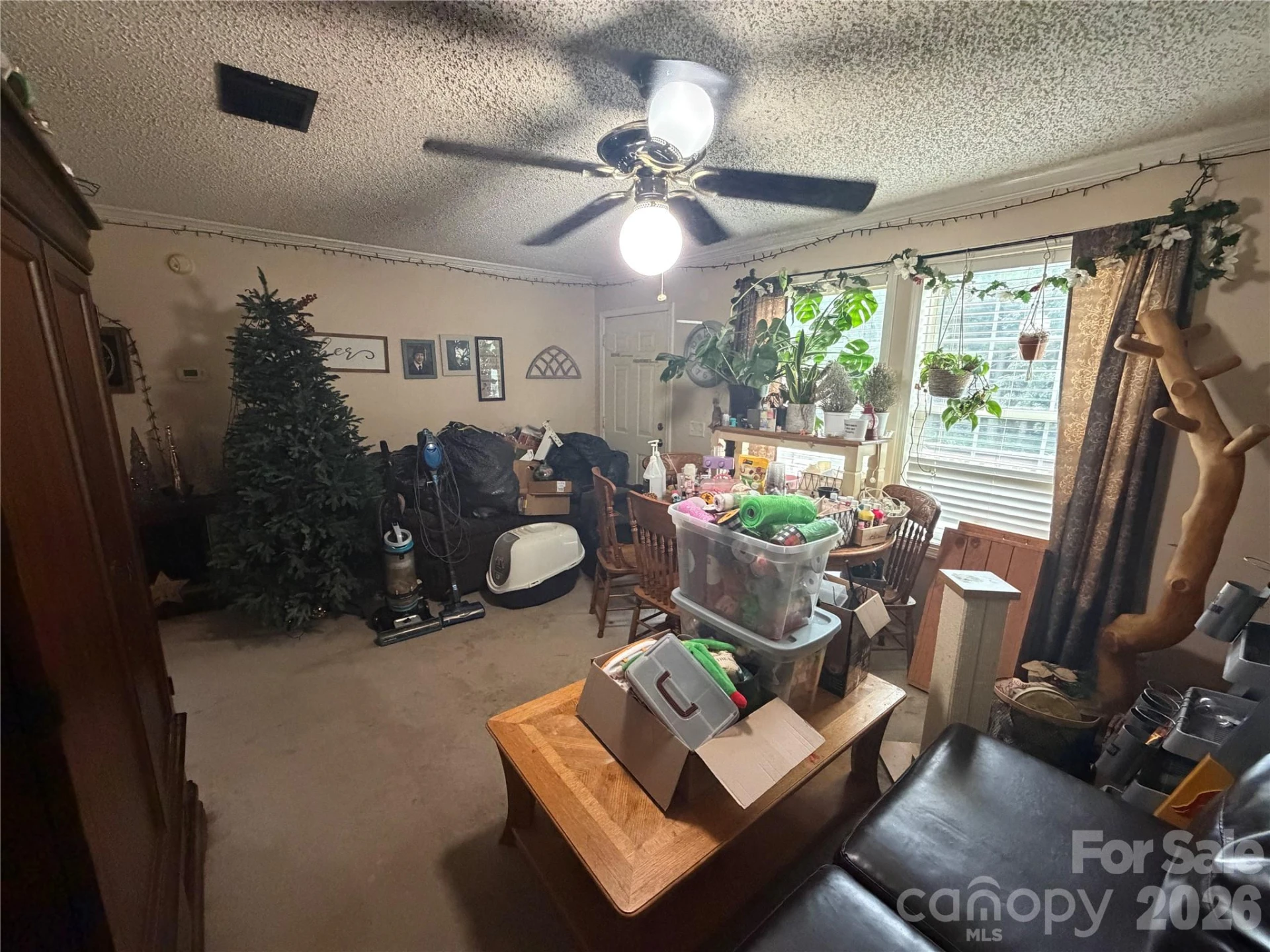 263 Coyote Pass Lane - Photo 17