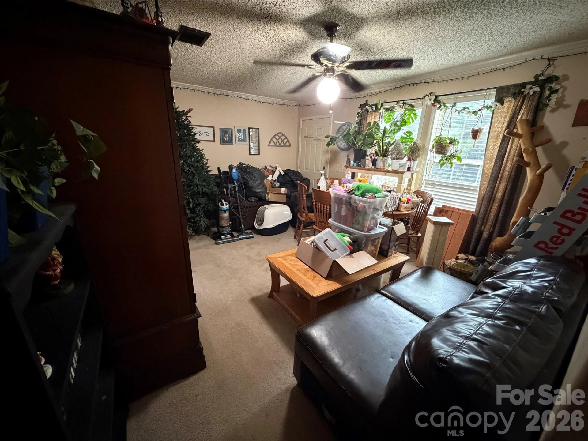 263 Coyote Pass Lane - Photo 28