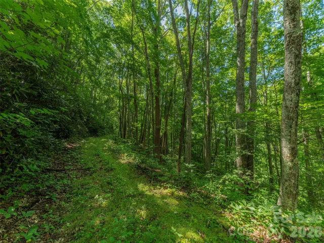 132 Grouse Road, Clyde, NC, 28721