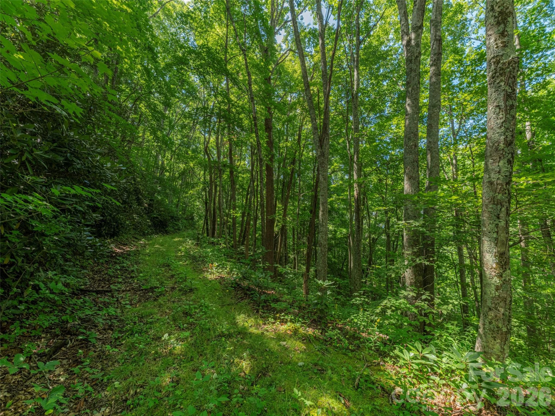 132 Grouse Road #131, 132, 133, 134