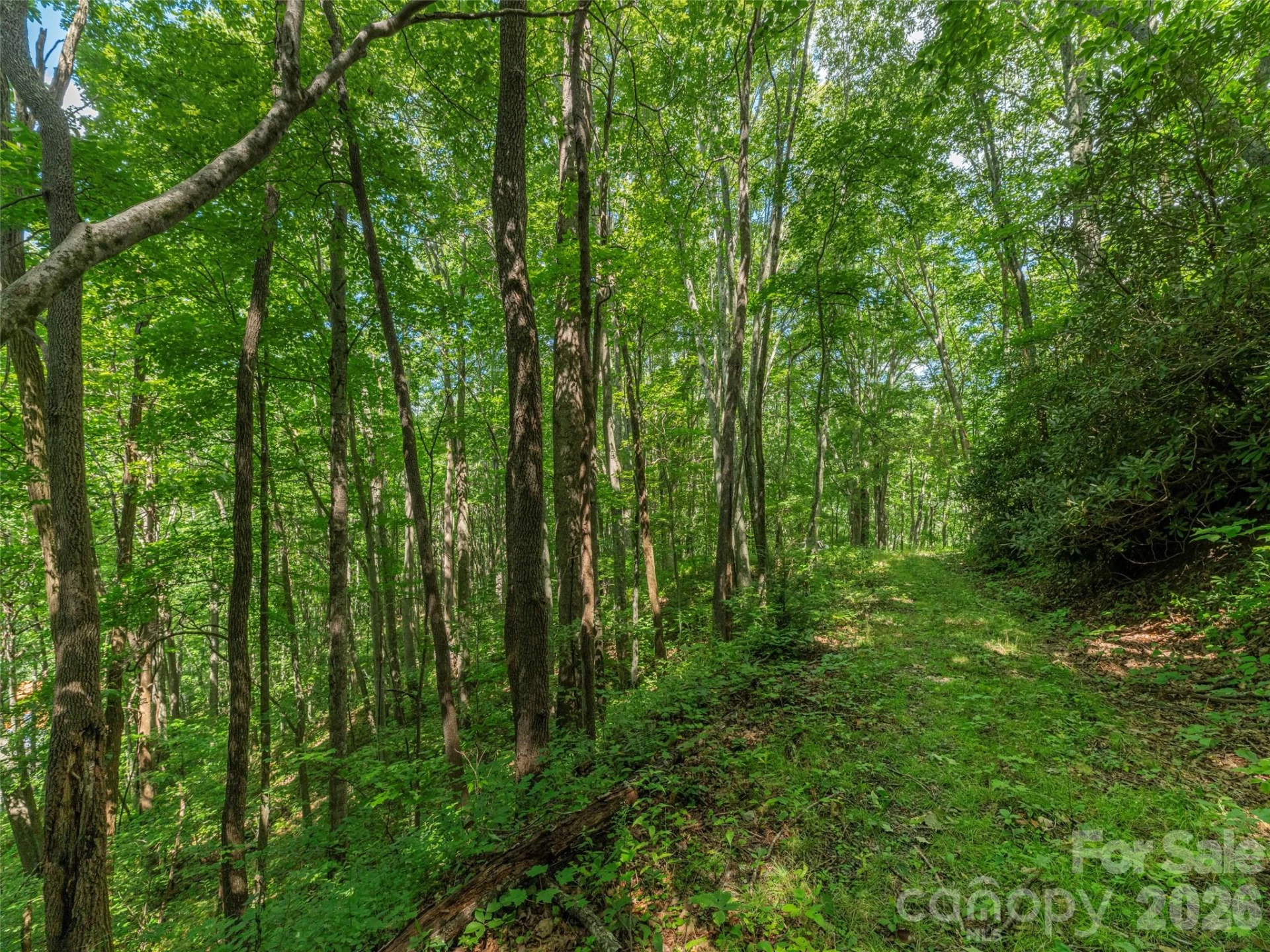 132 Grouse Road #131, 132, 133, 134 - Photo 2