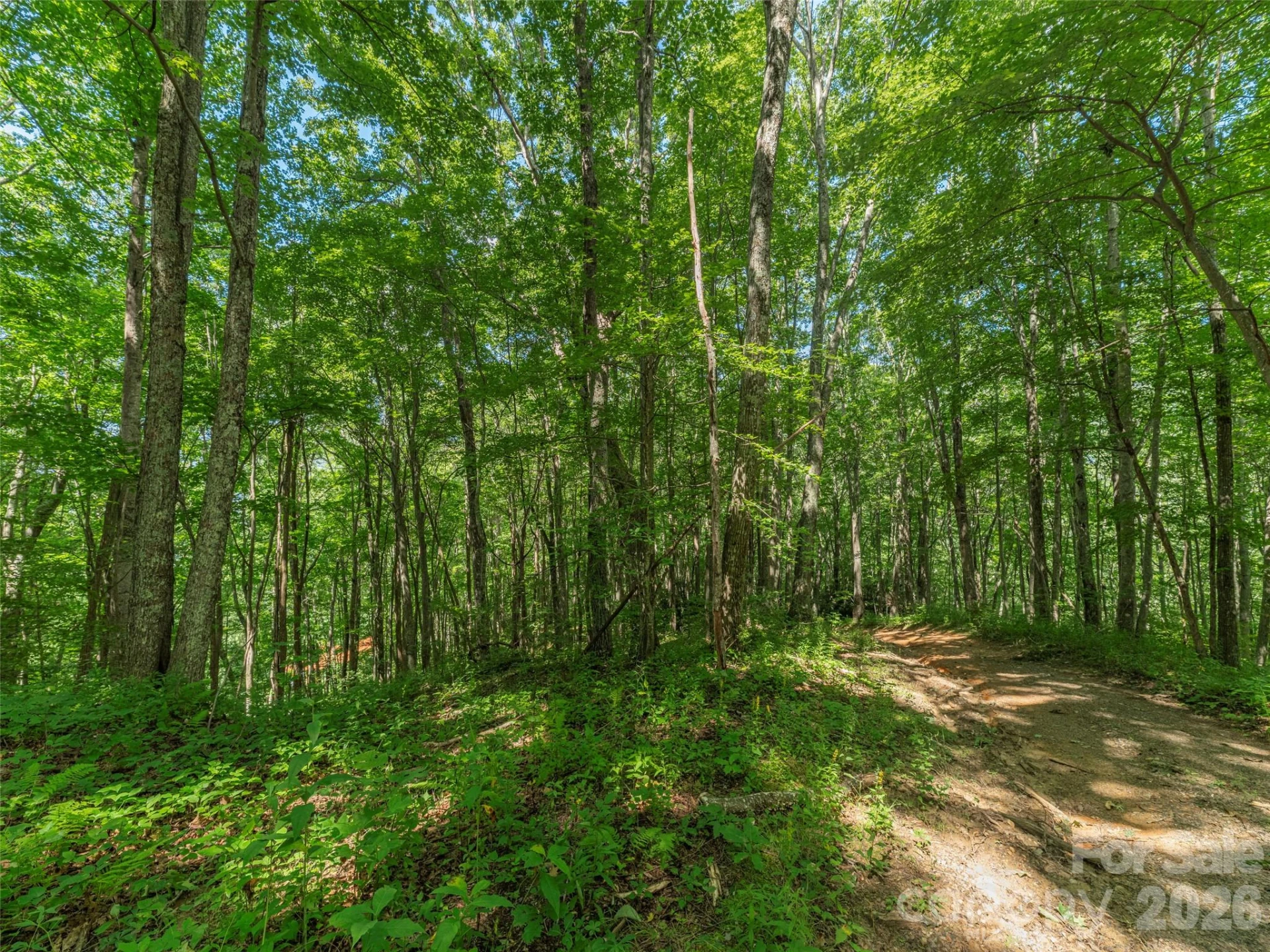 132 Grouse Road #131, 132, 133, 134 - Photo 3