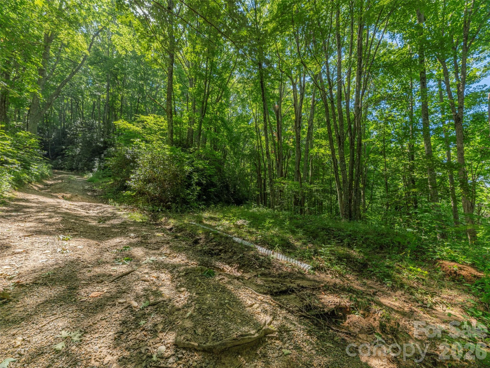 132 Grouse Road #131, 132, 133, 134 - Photo 4